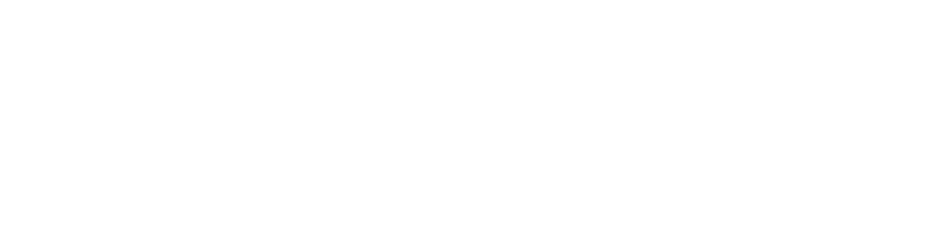 AZV Software